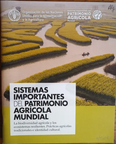 Copertina - Cover
