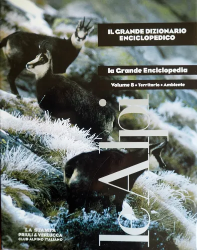 Copertina - Cover
